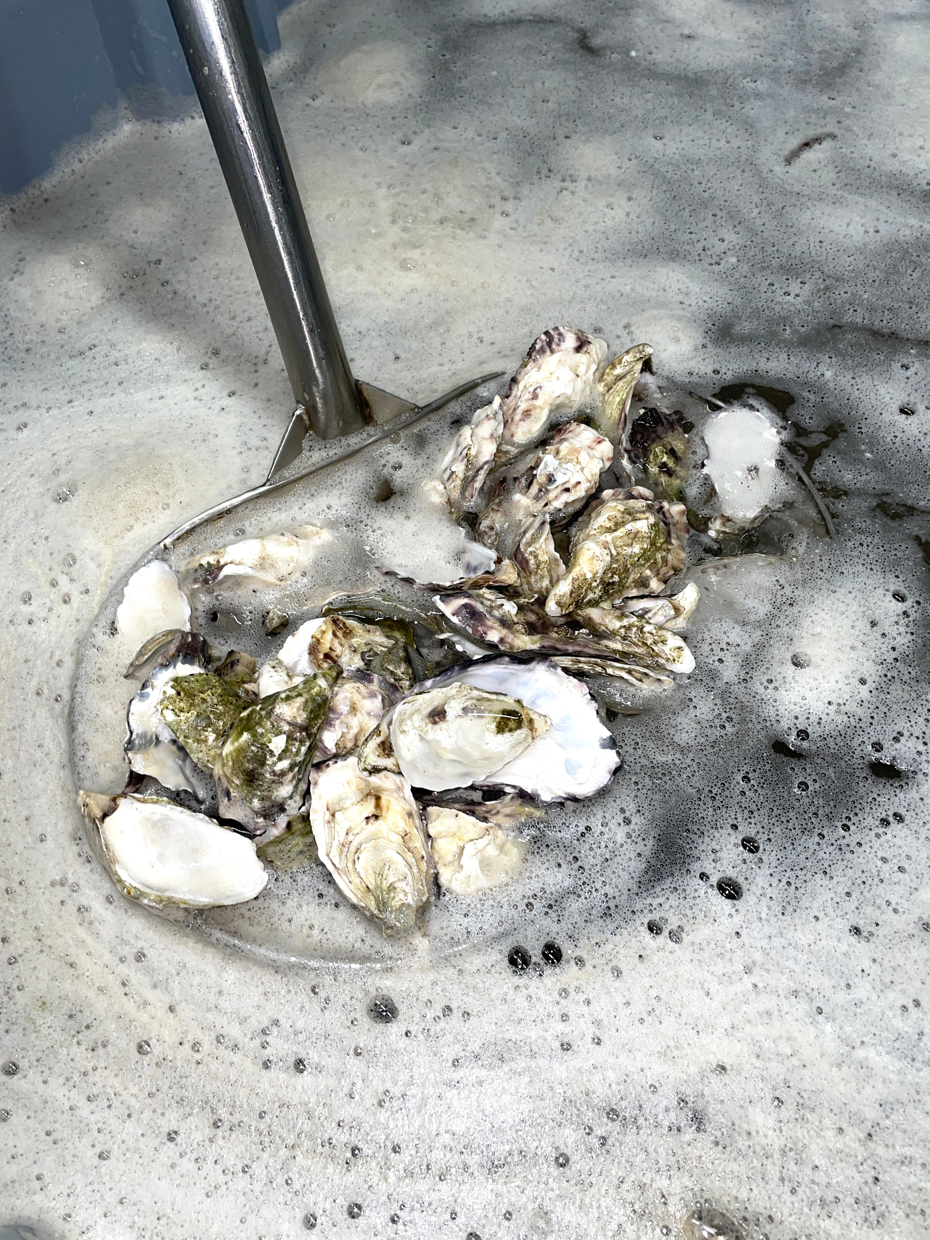 Cul sec alcoholvrije wijn oester infused